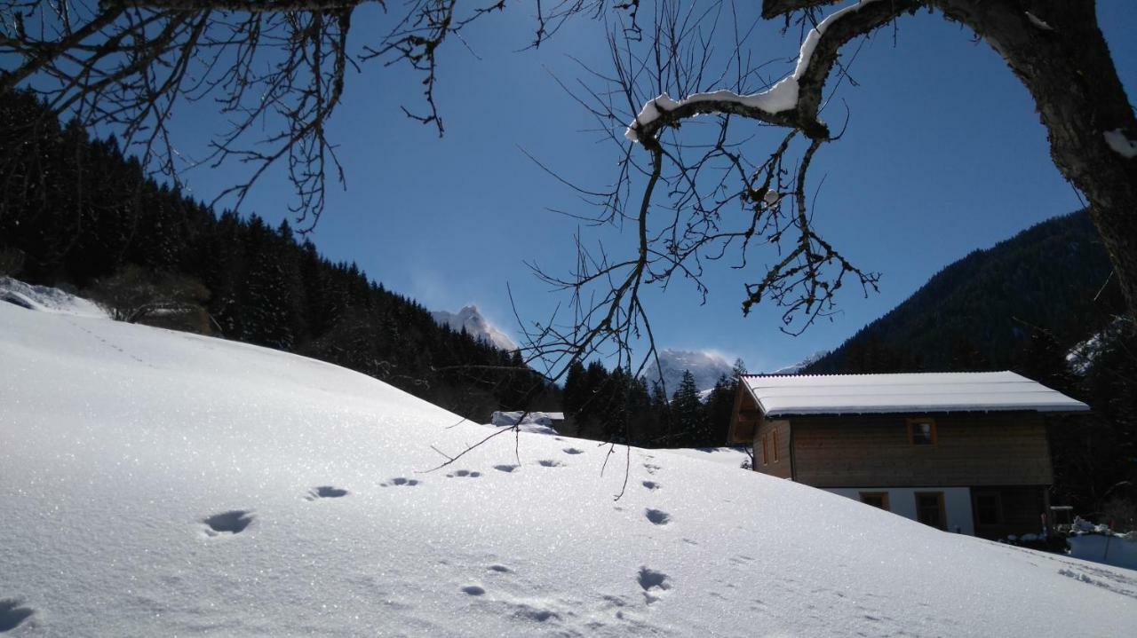 Villa Neuberg Alm Sankt Gallenkirch Exterior foto